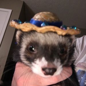 Meet your Posher, Dee