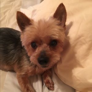 Meet your Posher, Sandra