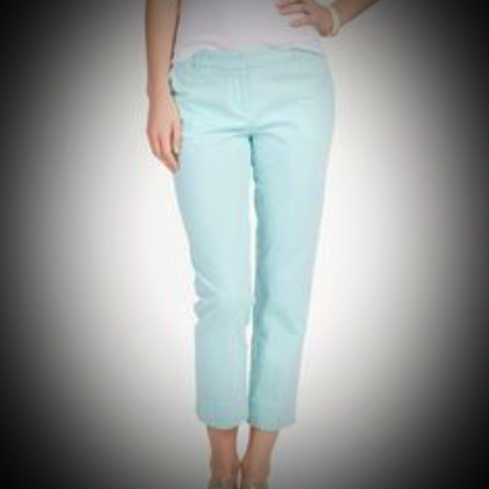 💥Reduced💲💥J. Crew - Women's Skinny Cargo Pants
