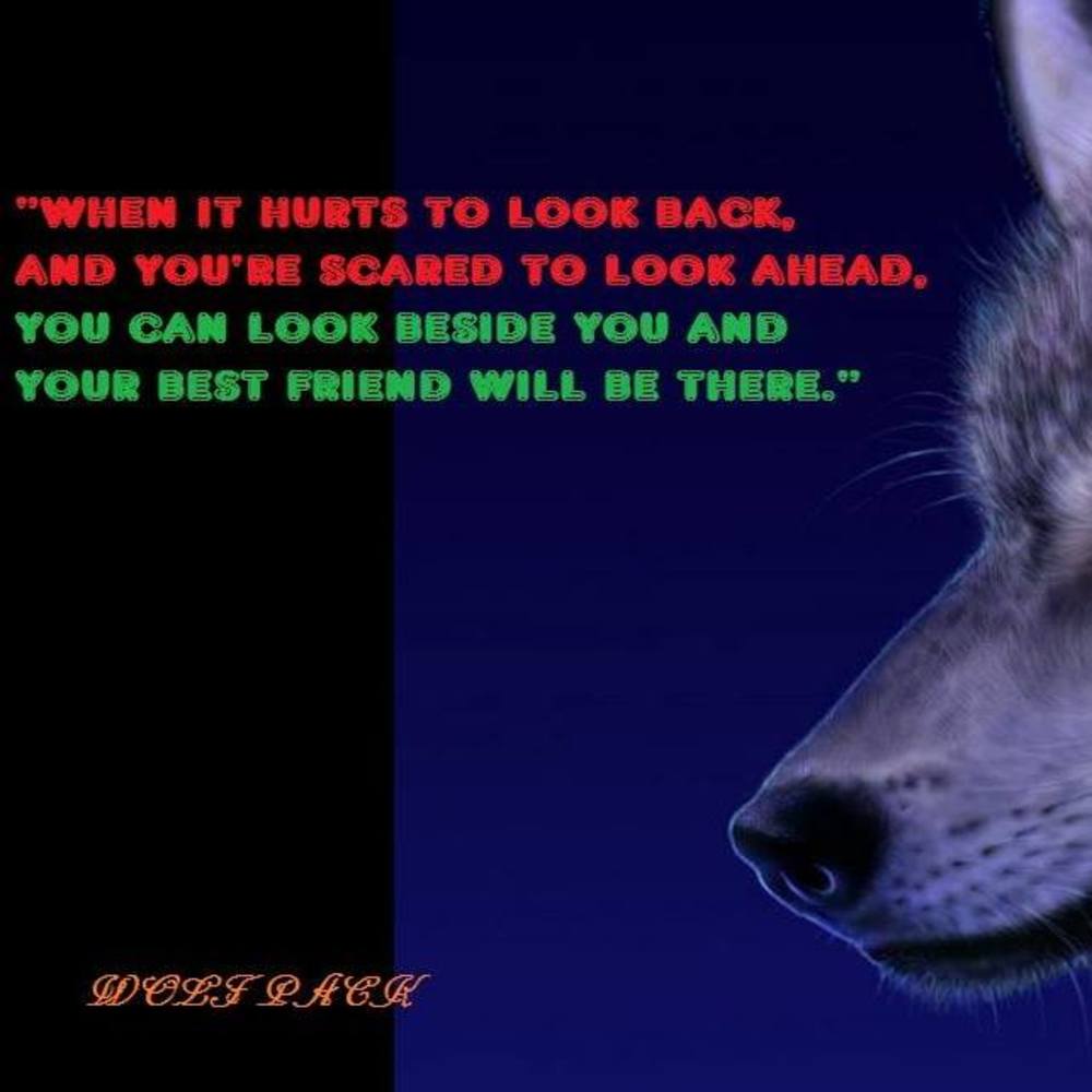 Meet your Posher, Dalton