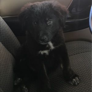 Meet your Posher, Mariah