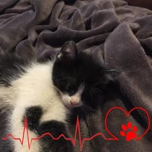 Meet your Posher, Stacy