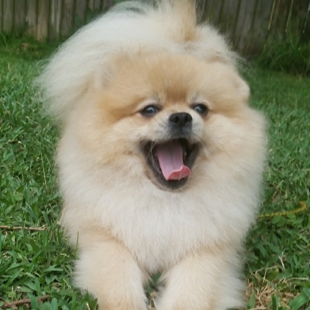 Meet your Posher, Erika adriana