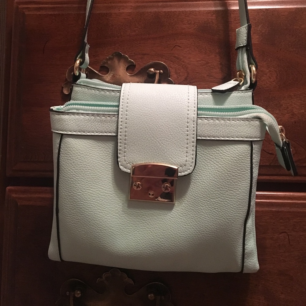 Light blue with black trim purse.