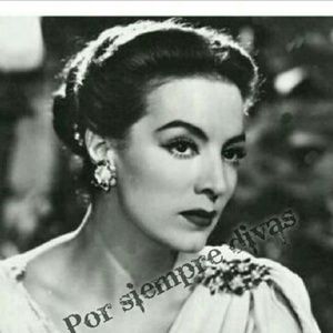 Meet your Posher, Rosa