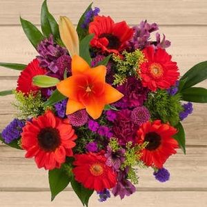 Meet your Posher, Britney