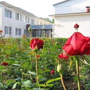 Meet your Posher, Elena