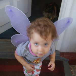 Meet your Posher, Debbie