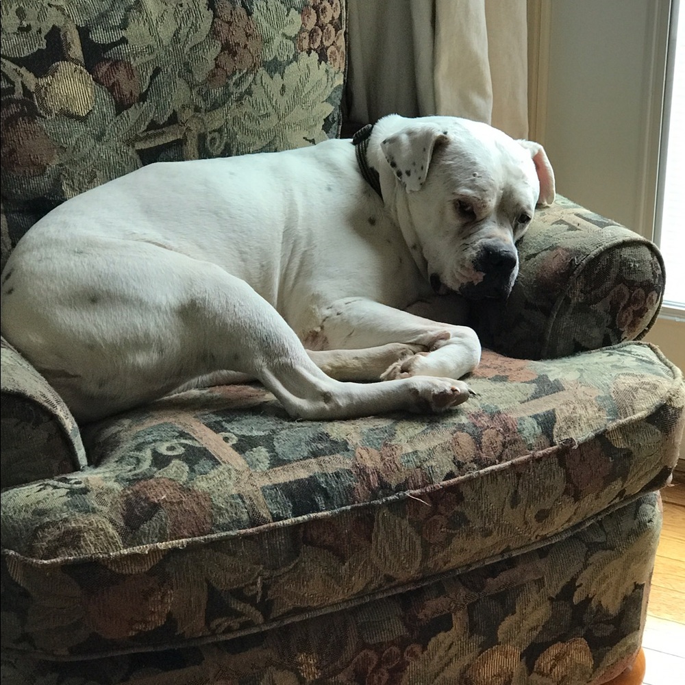 Meet your Posher, Stacey