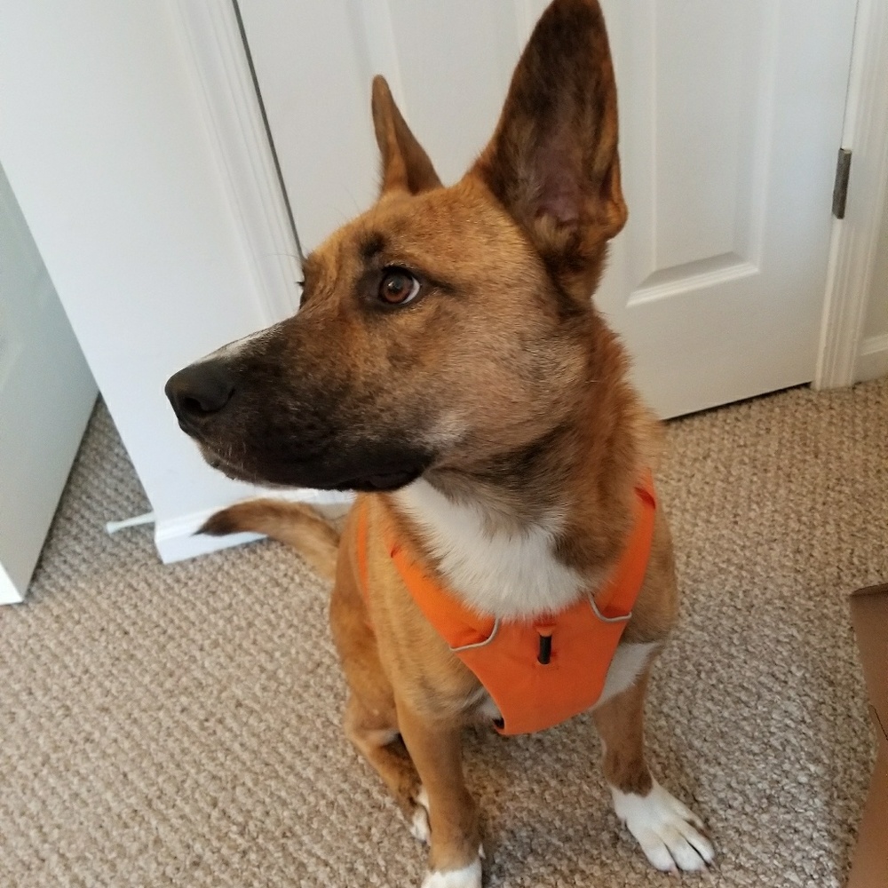 Meet your Posher, Michael