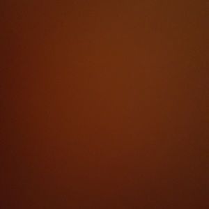 Meet your Posher, Adlin