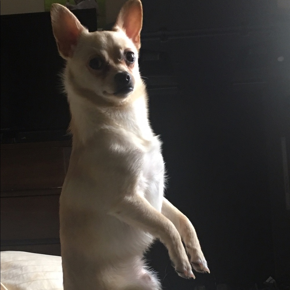 Meet your Posher, Mary