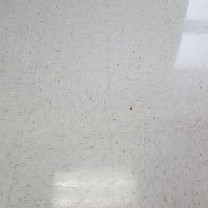 Meet your Posher, Shelly