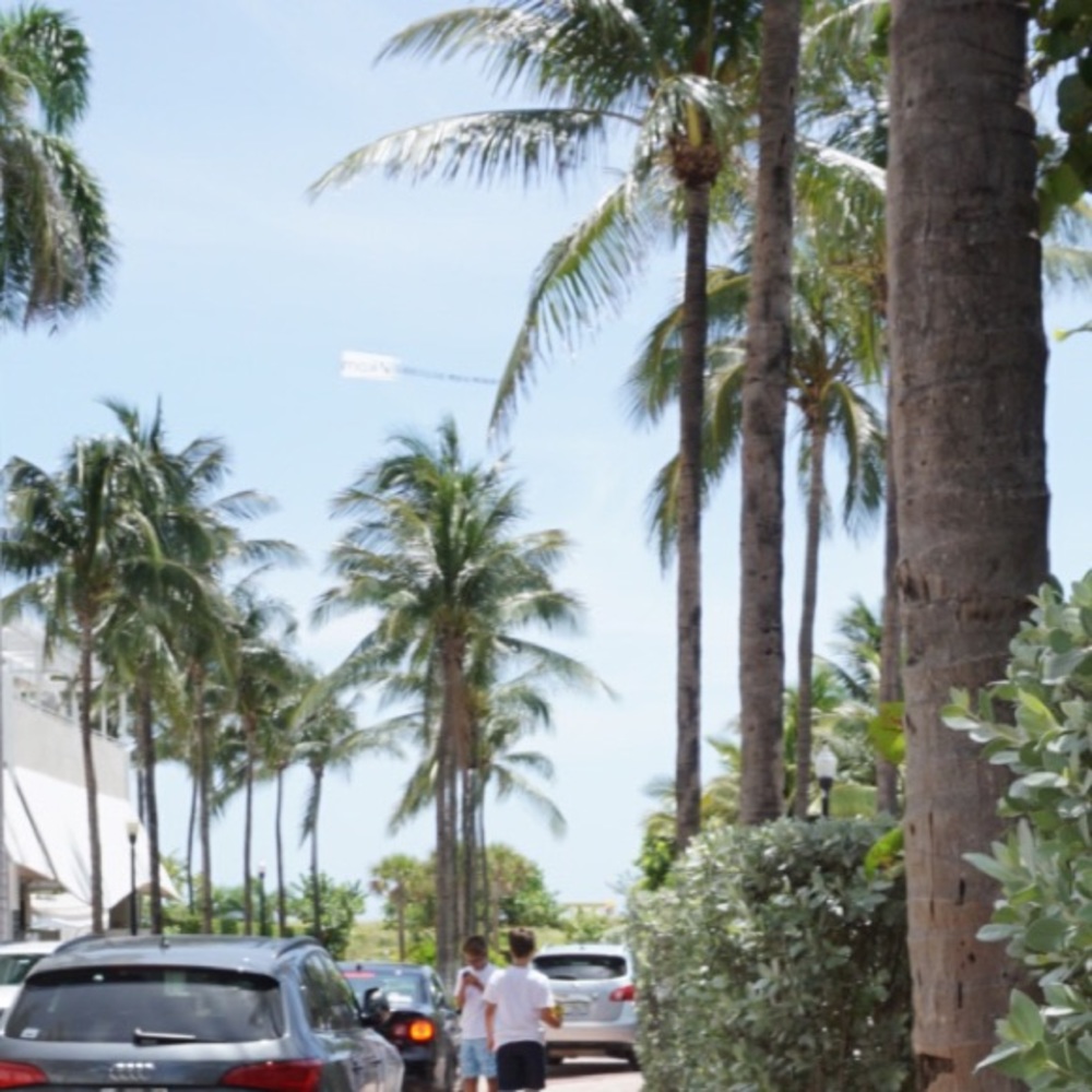 Meet your Posher, Erika