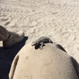 Meet your Posher, Kahler