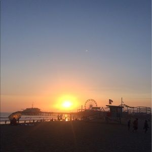 Meet your Posher, Holly