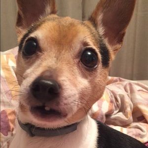 Meet your Posher, Alyssah