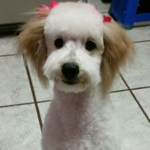 Meet your Posher, Maribel