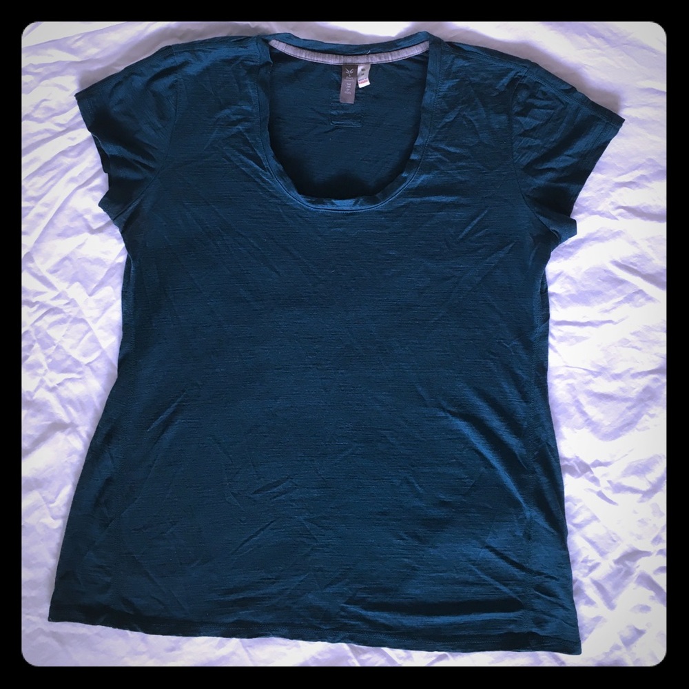Ibex wool t shirt