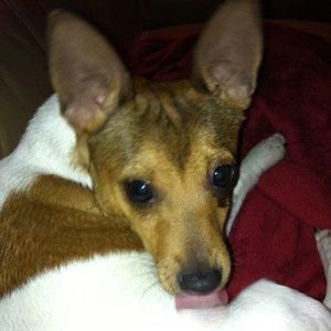 Meet your Posher, Barbara