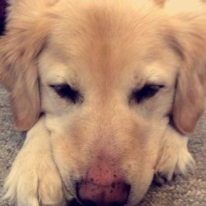 Meet your Posher, Brenna