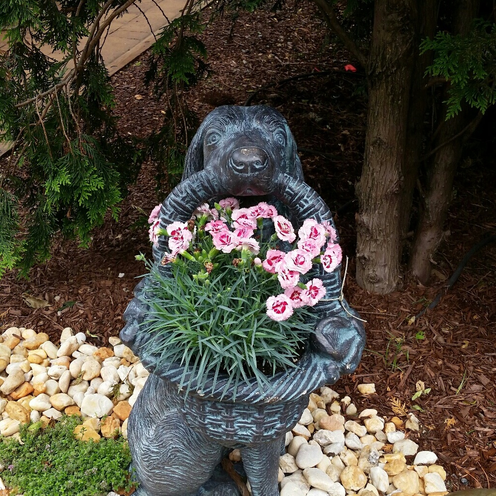 Meet your Posher, Gihani