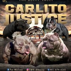 Meet your Posher, Pat