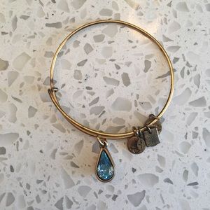 Alex and Ani Water Drop Bracelet