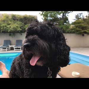 Meet your Posher, Christopher