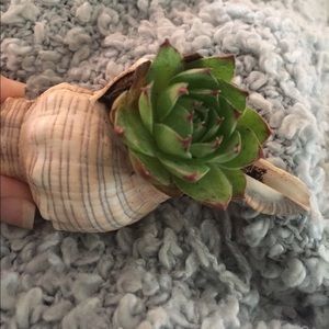 Meet your Posher, Rhonda