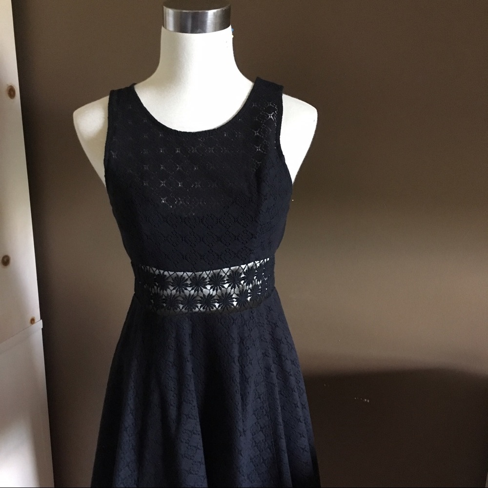 Free People Lace Fit and Flare Dress