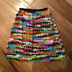 Multicolor Skirt