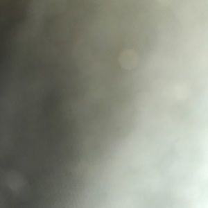 Meet your Posher, Shelly