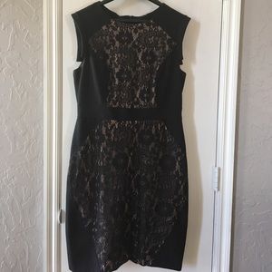 Adrianna Papell Cocktail Dress