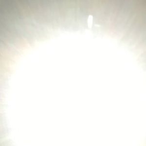 Meet your Posher, Amelia