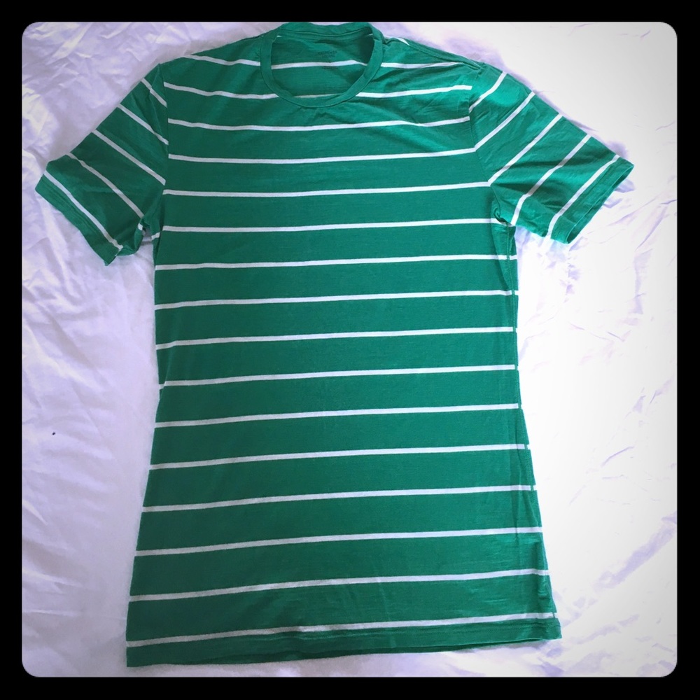 Ice breaker wool t shirt