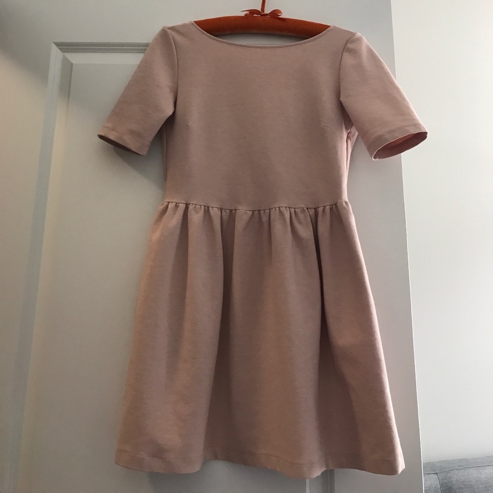Beautiful Rose Zara Dress