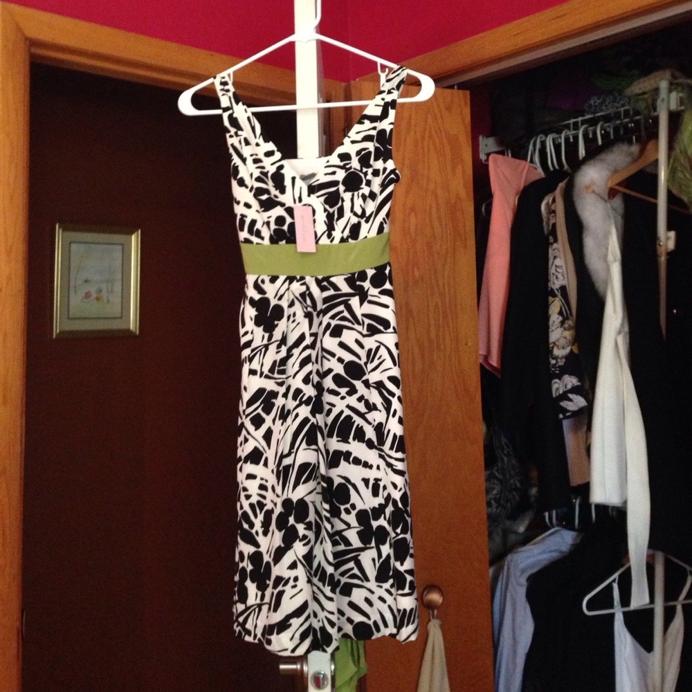 Ann Taylor dress