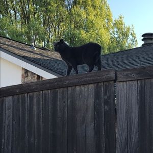 Meet your Posher, Marie