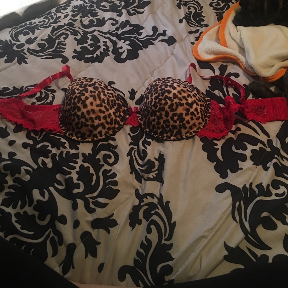 Cheetah Bra.