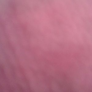 Meet your Posher, Quincy