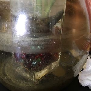 Meet your Posher, Yesenia