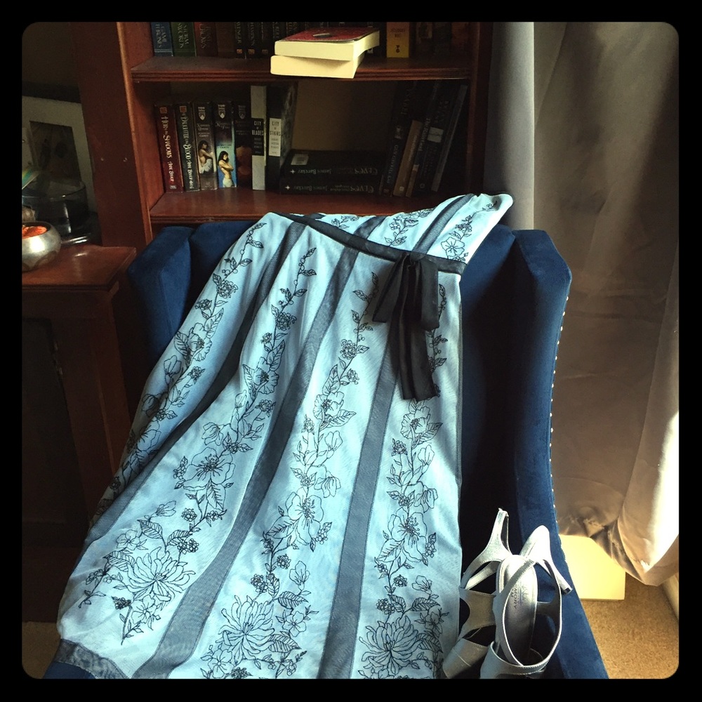 BCBG maxazria Vintage Blue Dress