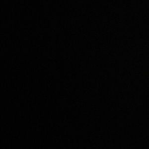 Meet your Posher, Ella