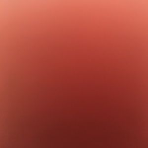 Meet your Posher, Sally