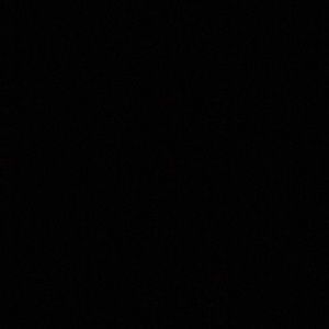 Meet your Posher, Brady