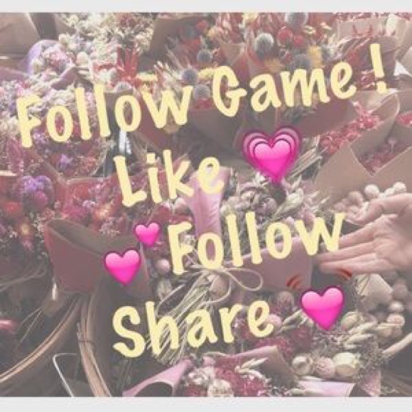 Follow Game - Picture 2 of 2