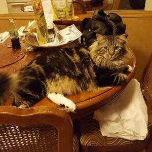 Meet your Posher, Mary