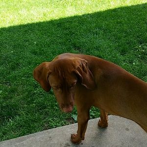 Meet your Posher, Gayle