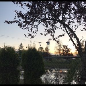 Meet your Posher, Alayna